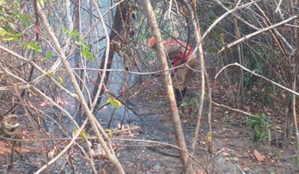 Incêndio na Chapada dos Veadeiros é extinto após cerca de duas semanas; veja vídeo