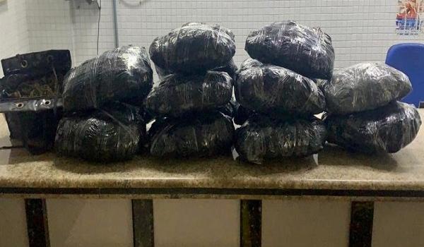 Casal é flagrado com 31 kg de maconha em Salvador; droga estava escondida em residência