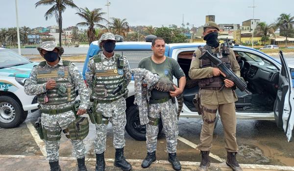 Polícia acha mais um jacaré e cobra em praia de Salvador; é o segundo resgate em três dias 