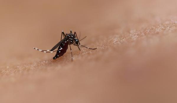 Bairros de Pau da Lima e Pero Vaz recebem ações intensificadas de combate ao Aedes Aegypti nesta quinta