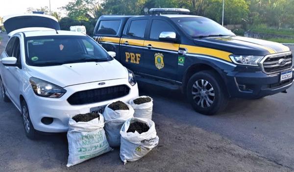 Transporte errado: motorista de app é preso com maconha após fazer ultrapassagem proibida na BR-101