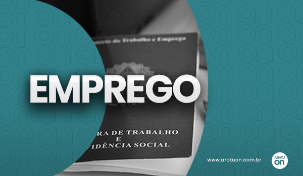 Empresa de telecomunicação abre 200 novas vagas em Feira de Santana; saiba como se inscrever