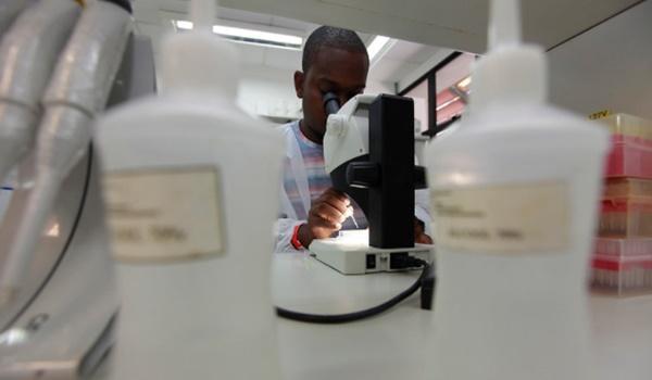Imunidade pode durar seis meses após contrair Covid-19, aponta estudo da Universidade de Oxford