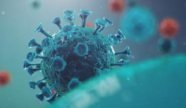 Brasil ultrapassa 6 milhões de casos registrados do novo coronavírus; veja boletim