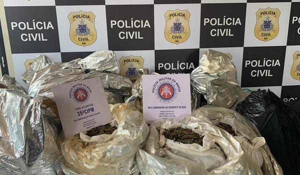 Polícia encontra 400 quilos de maconha que seriam distribuídos na Pituba, Nordeste, Camaçari e Simões Filho