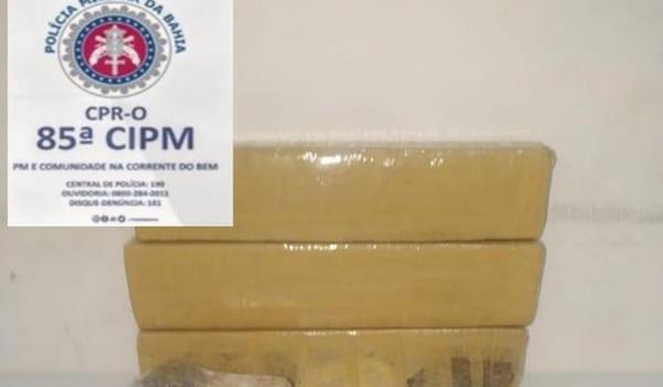 Homem é preso após maconha enterrada embaixo de árvore ser encontrada pela PM