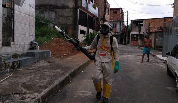 Notificações de dengue, zika e chikungunya reduziram 90% em Salvador; 126 casos foram notificados em novembro