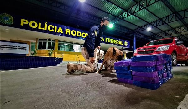 Casal é preso em flagrante transportando mais de 60 quilos de cocaína em fundo falso de caminhonete