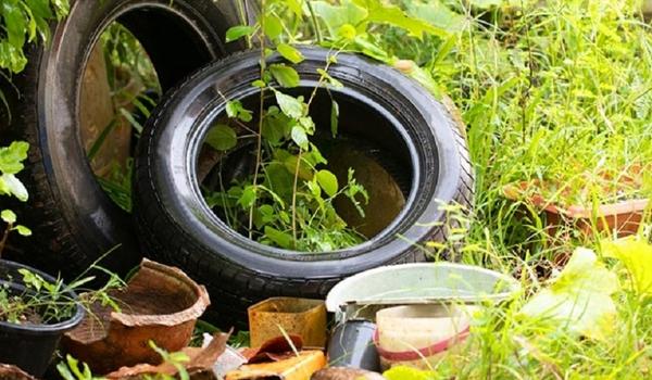 Sinal de Alerta: chegada do verão aumenta preocupação com doenças ligadas ao Aedes aegypti