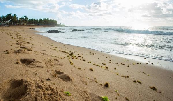 Salvamar registra 65 afogamentos nas praias de Salvador no "feriadão" de Ano Novo