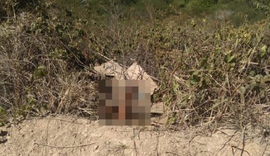 Corpo em decomposição é encontrado em zona rural do município de Elísio Medrado