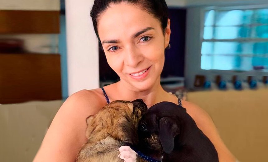 Cães devolvidos pela atriz Claudia Ohana ainda não foram adotados e ONG faz apelo; "entraram em depressão"