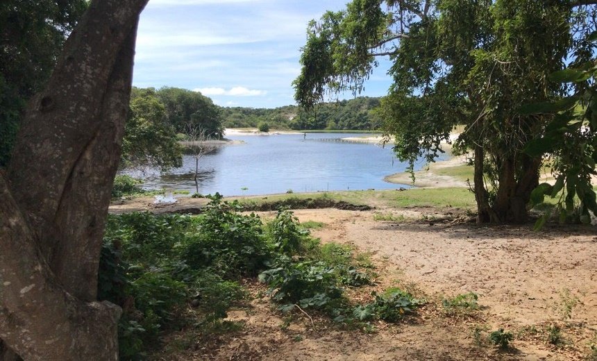 Suspeito de roubar cavalos morre vítima de linchamento no Parque do Abaeté