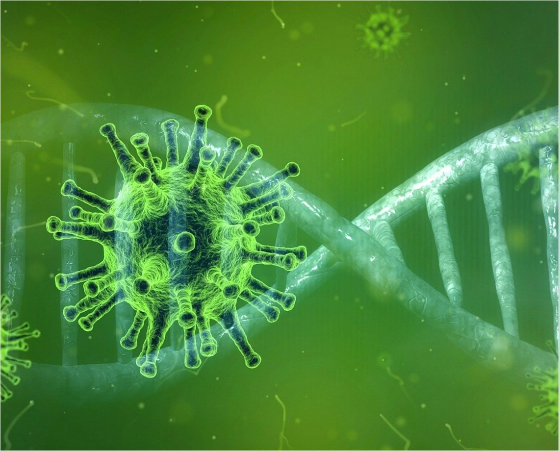 S&atilde;o Paulo identifica primeiro caso da variante indiana do novo coronav&iacute;rus