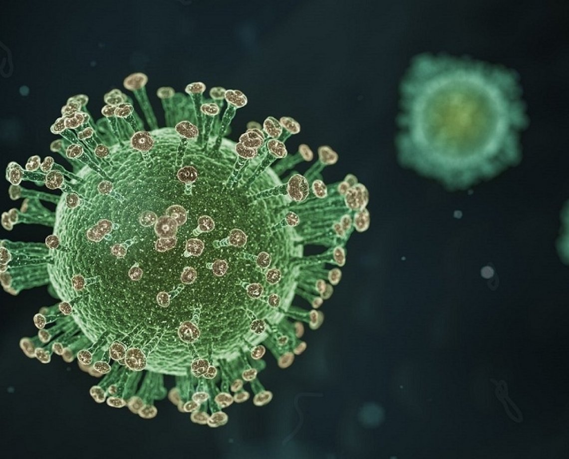 Melhor que vacina? Quem já foi infectado pelo coronavírus pode estar completamente imune, aponta pesquisa