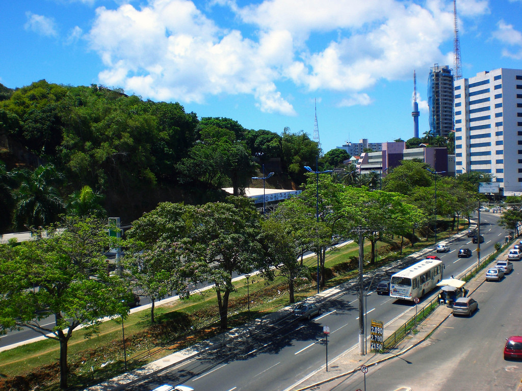 Avenida Garibaldi é bloqueada para retirada de árvore