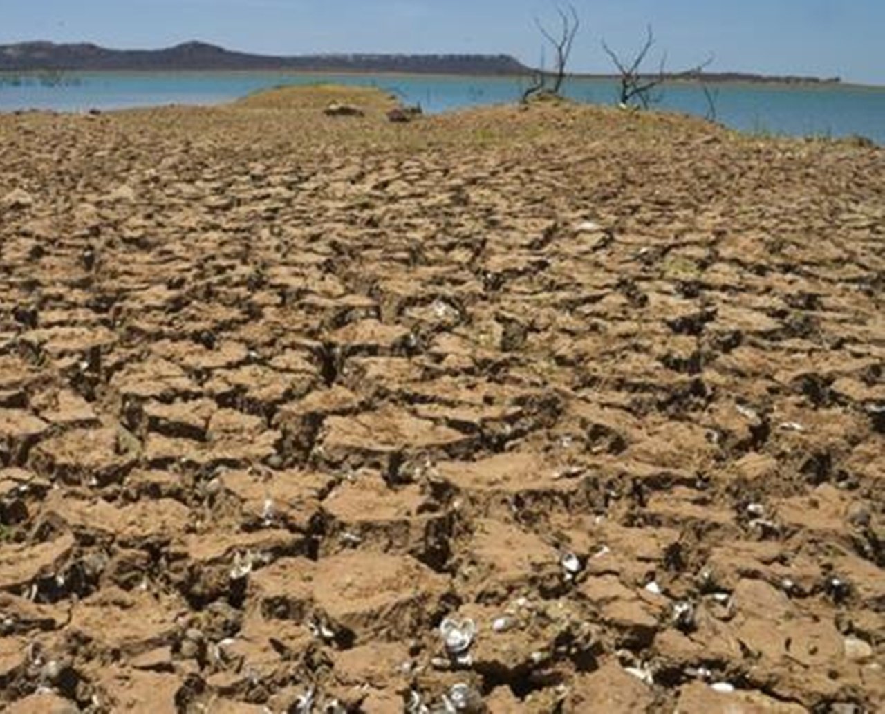 Duas cidades baianas têm situação de emergência, por conta da seca, reconhecidas pelo Governo