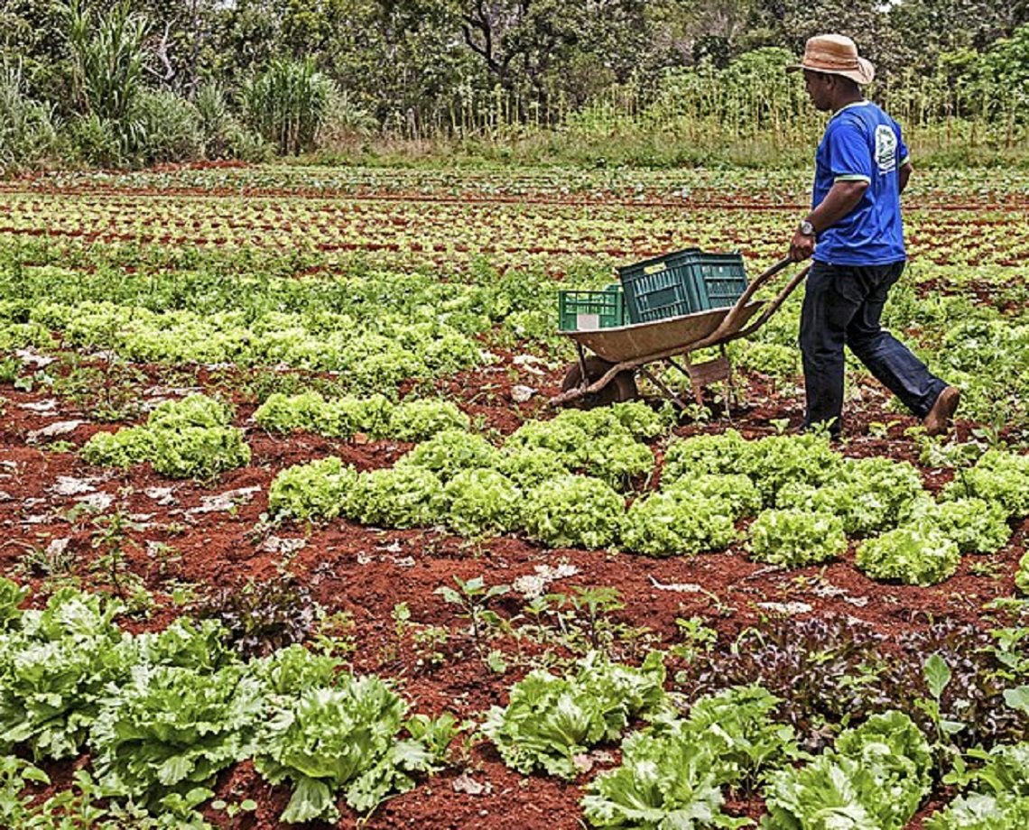 Projeto que prevê auxílio de R$ 2,5 mil para agricultores familiares é aprovado na Câmara