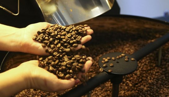 Vai um cafezinho aí? consumo mundial da bebida 'queridinha' dos brasileiros chega a 167 milhões de sacas