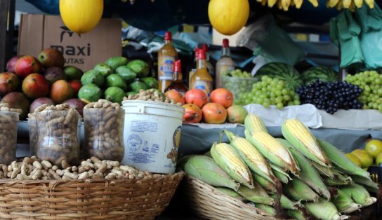 São João na capital: vigilância Sanitária alerta para cuidados na hora da compra de produtos juninos