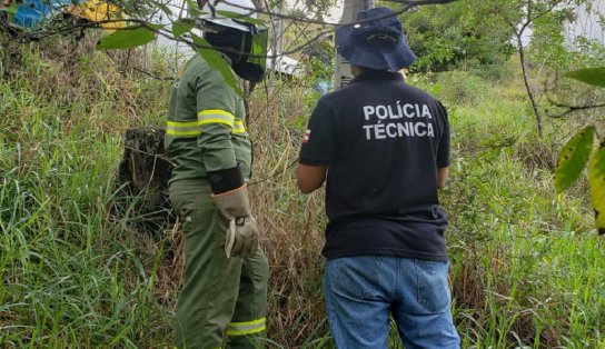 Fazenda produtora de café desvia energia capaz de abastecer duas mil casas por um mês