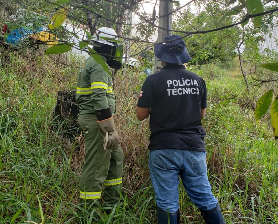 Fazenda produtora de café desvia energia capaz de abastecer duas mil casas por um mês