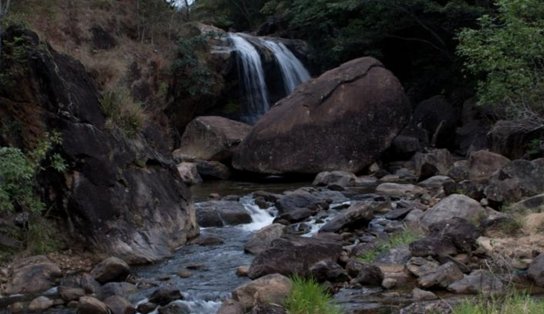 Município baiano é o terceiro que mais desmatou a Mata Atlântica no Brasil entre 2019 e 2020