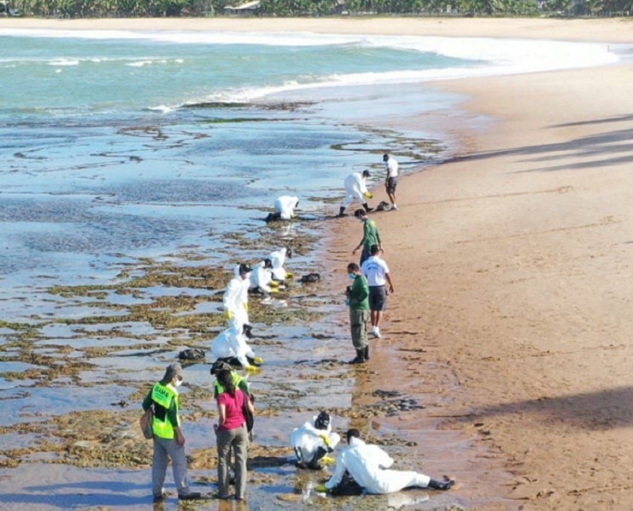 Sujou de novo! Após dois anos, resíduos de óleo voltam a aparecer no litoral baiano e preocupam órgãos ambientais