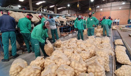 Mais de 10 mil: Bahia é estado nordestino que mais gerou empregos em maio