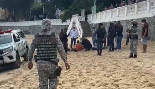 Golfinho encalha na praia do Porto da Barra e é socorrido pela GCMS