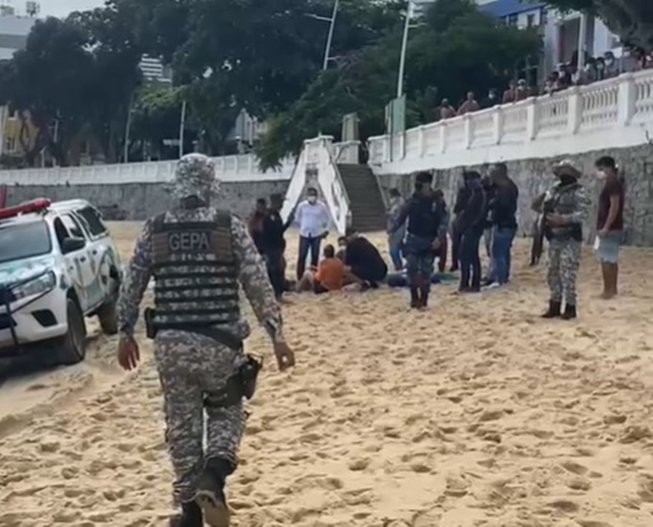 Golfinho encalha na praia do Porto da Barra e é socorrido pela GCMS