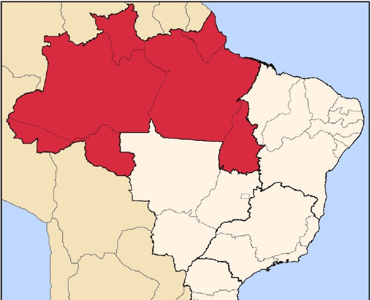 Estudo mostra que norte do Brasil tem a maior probabilidade de morte por Covid-19 no país; saiba mais