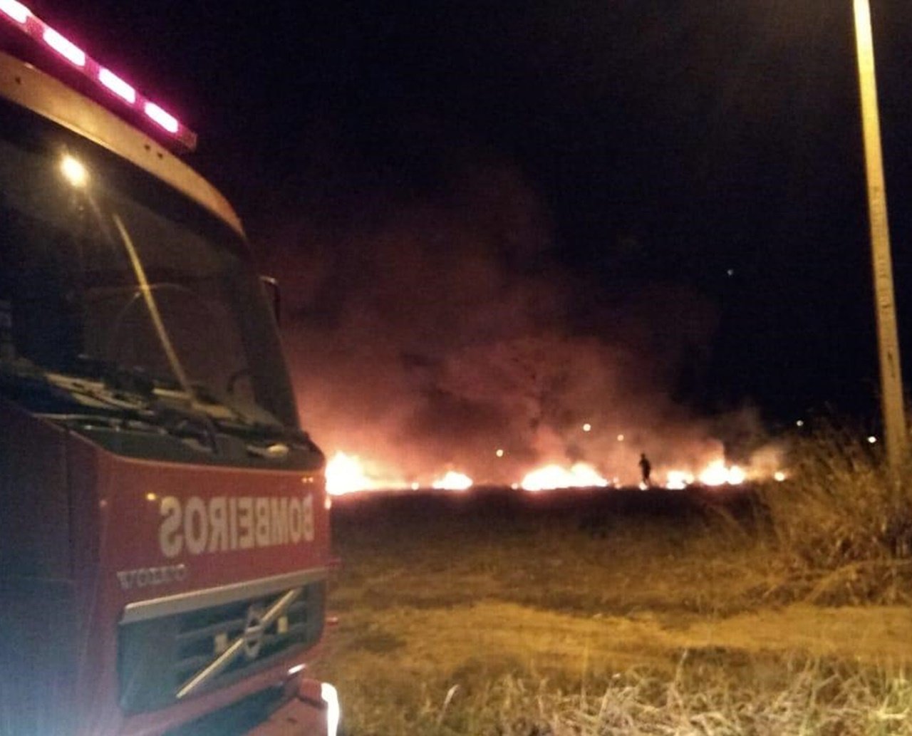 Incêndio atinge área de vegetação em Luís Eduardo Magalhães; ninguém ficou ferido