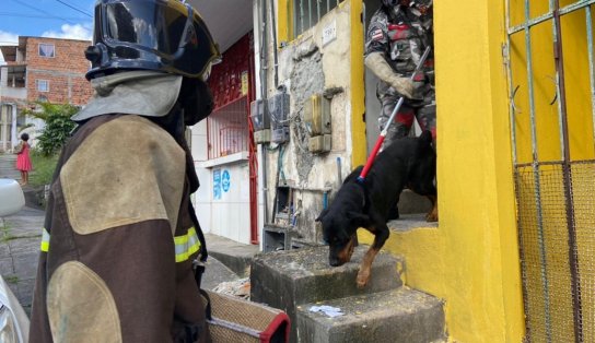 Cachorro do 'maníaco do subúrbio' é resgatado em condições precárias em Paripe; veja vídeo