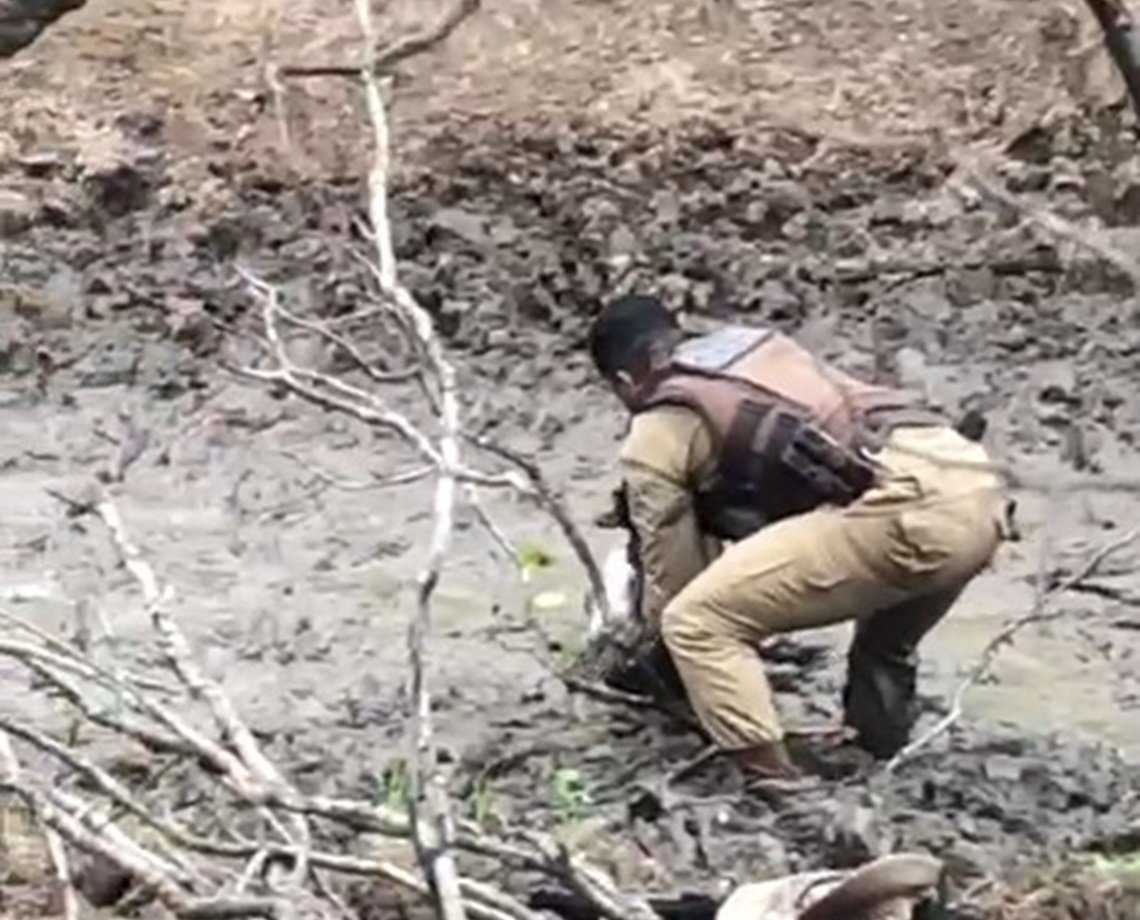 Final feliz: bezerro é salvo por policial após ficar atolado no interior da Bahia; veja vídeo