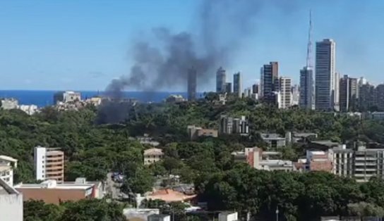 Susto! Veículos pegam fogo dentro do campus da UFBA, em Ondina; veja vídeo