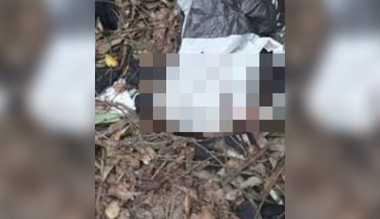 Em terça sangrenta, cabeça de adolescente é encontrada dentro de saco plástico em Salvador