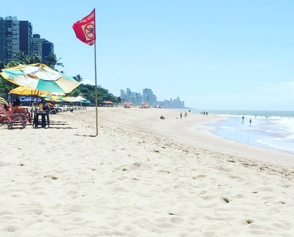 Mais um ataque de tubarão é registrado em praia pernambucana; é o segundo em duas semanas 