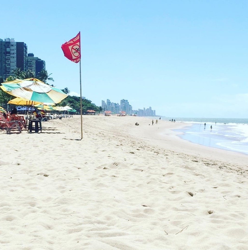 Mais um ataque de tubarão é registrado em praia pernambucana; é o segundo em duas semanas 