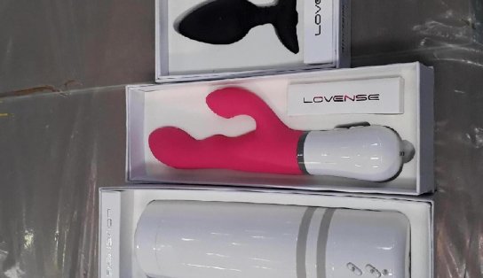 Vibrador e cabelo humano: quanto custam os objetos mais inusitados de leilão da Receita Federal? 