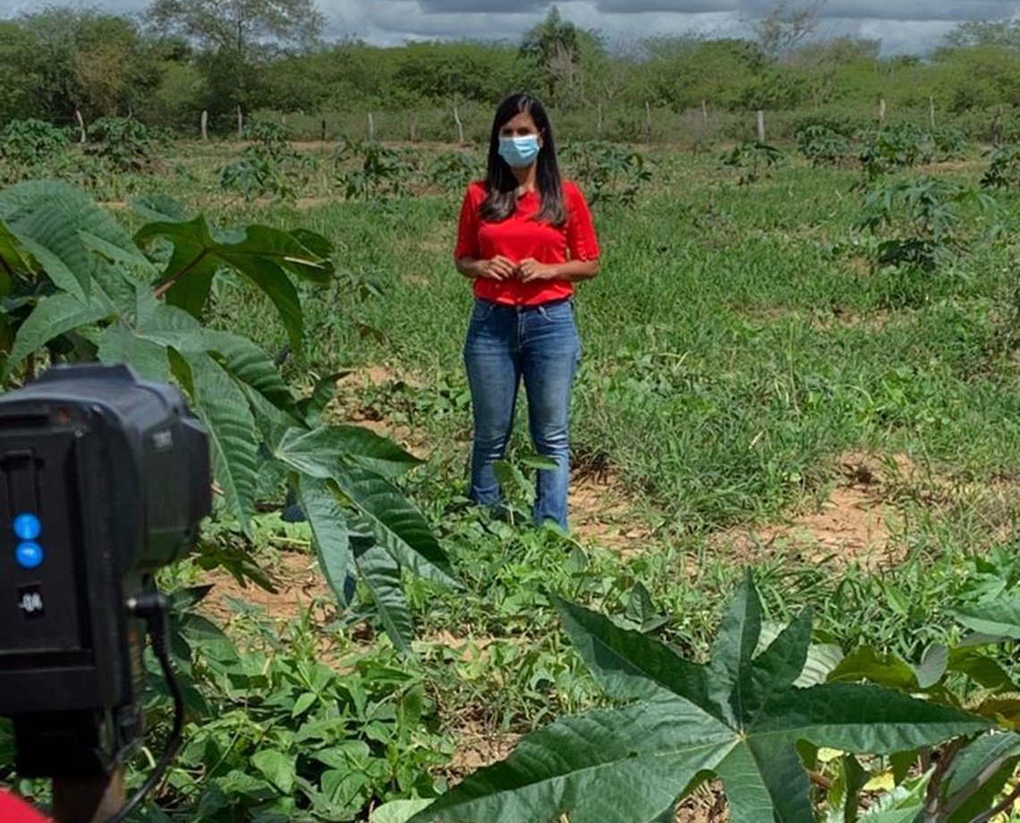 'Guardiões de Sementes': reportagem da TV Aratu fica em segundo lugar em prêmio internacional de jornalismo