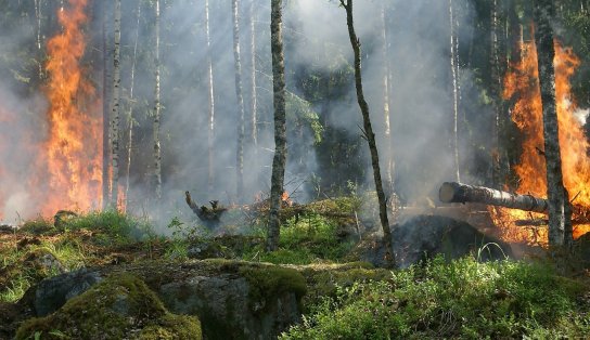 Planeta vai esquentar 1,5ºC uma década antes do previsto; eventos climáticos extremos são esperados