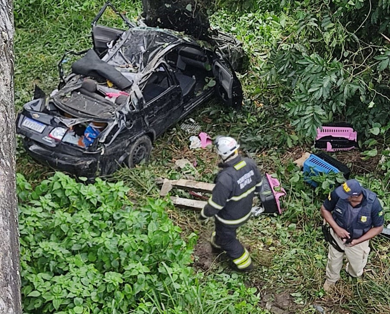 Homem é retirado de ferragens após carro cair de altura de mais de 20 metros