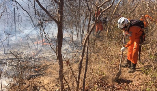 Combate ao incêndio em Campo Alegre de Lourdes completa três semanas; chamas em Pilão Arcado são controladas 