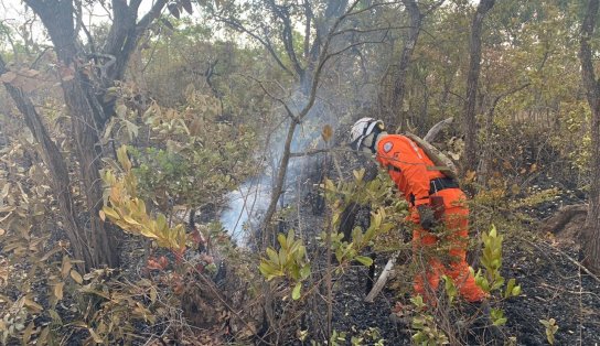 Incêndios florestais seguem atingindo interior da Bahia; aviões dos bombeiros ajudam a apagar as chamas