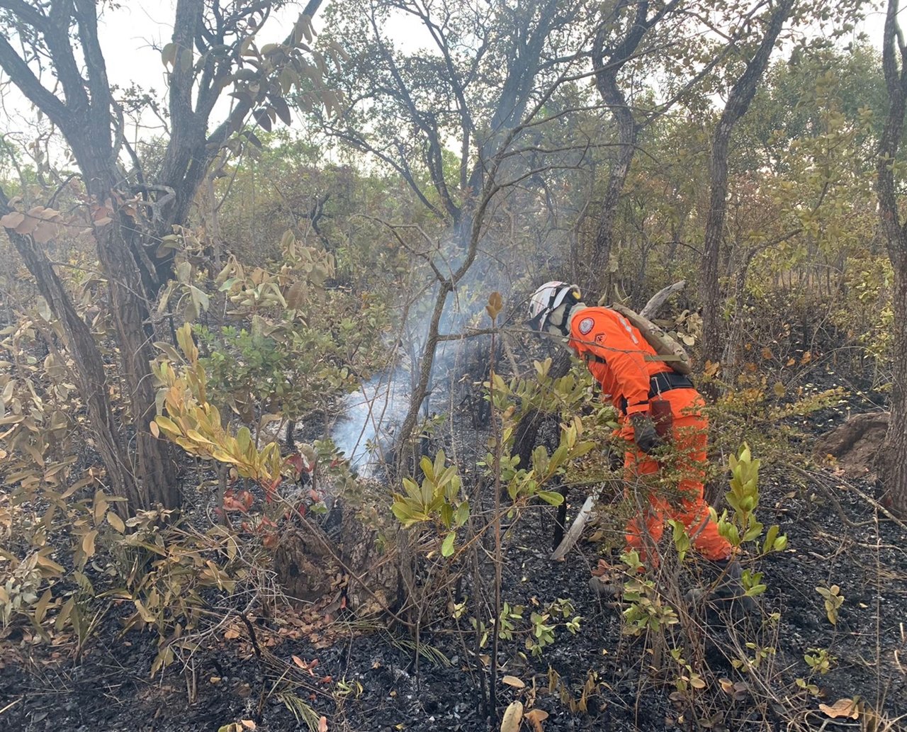 Incêndios florestais seguem atingindo interior da Bahia; aviões dos bombeiros ajudam a apagar as chamas