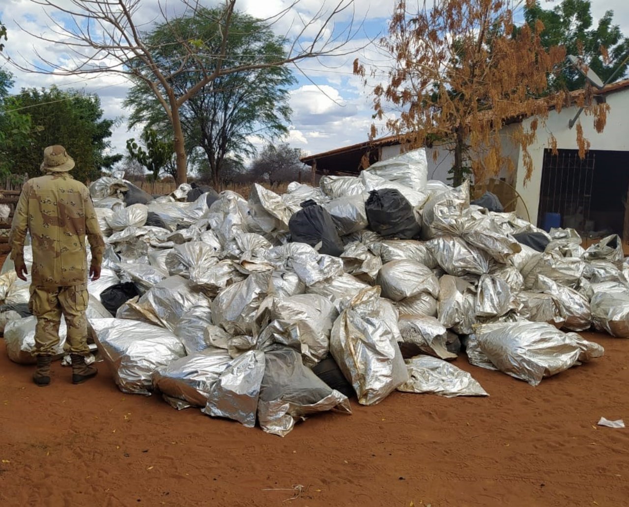 Apreensão histórica: quantidade de maconha avaliada em R$ 17 milhões é encontrada pela polícia no oeste da Bahia