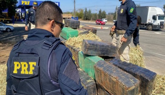 Caminhoneiro é preso na Bahia com três toneladas de maconha que renderiam R$ 6 milhões ao tráfico 