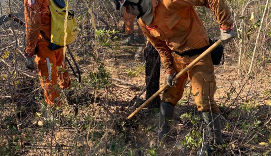 Incêndios seguem devastando vegetações no interior da Bahia; veja lista de cidades e a situação do fogo em cada uma