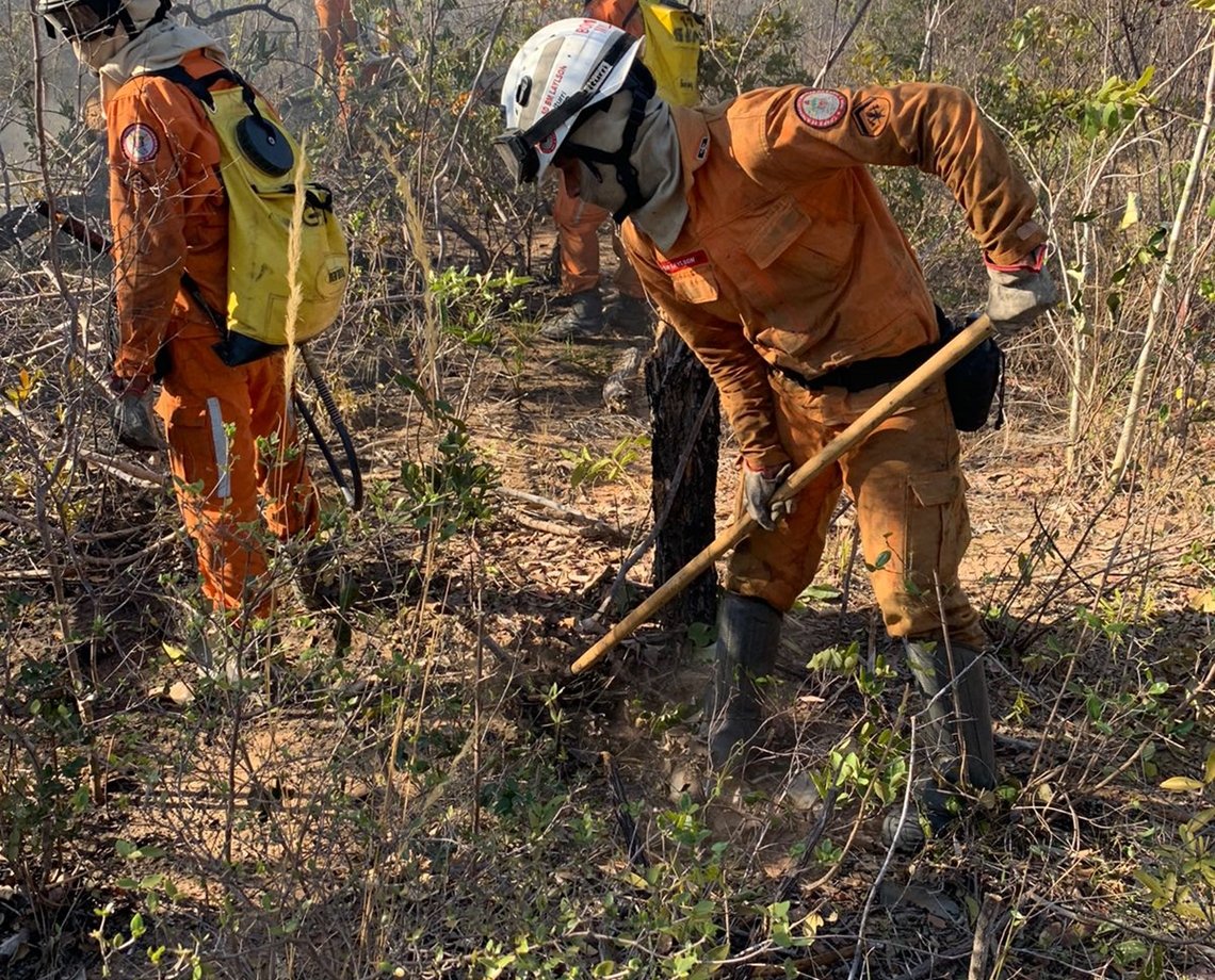 Incêndios seguem devastando vegetações no interior da Bahia; veja lista de cidades e a situação do fogo em cada uma